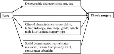 Racial Disparity and Social Determinants in Receiving Timely Surgery Among Stage I–IIIA Non-small Cell Lung Cancer Patients in a U.S. Southern State